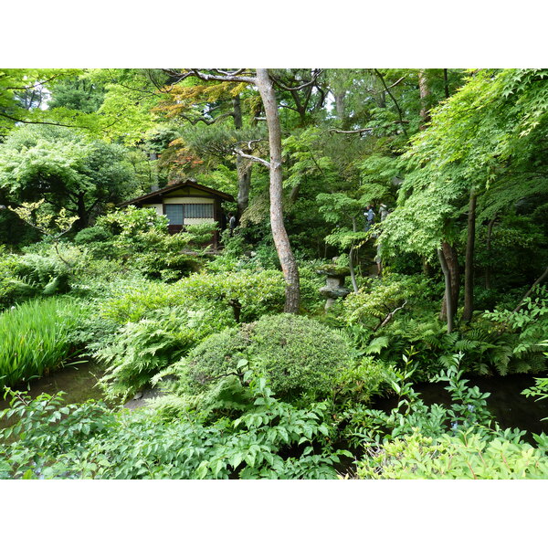 Picture Japan Tokyo Nezu Museum 2010-06 28 - Center Nezu Museum