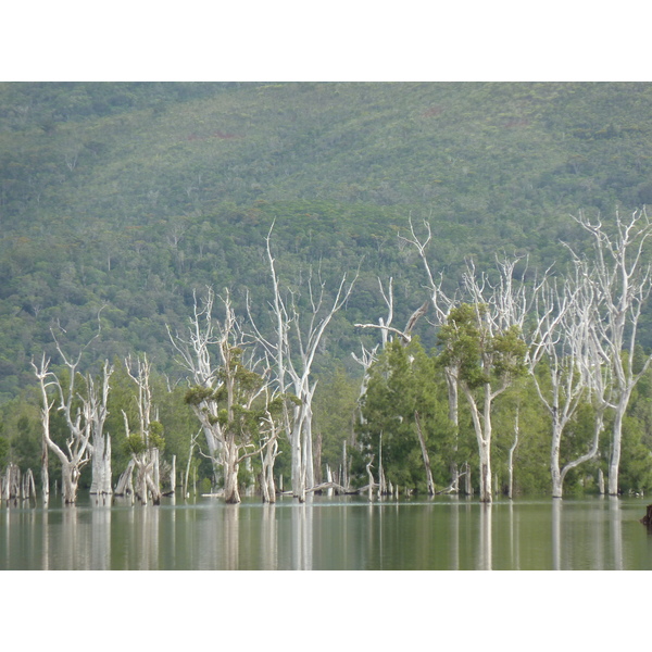 Picture New Caledonia Parc de la Riviere Bleue 2010-05 148 - History Parc de la Riviere Bleue