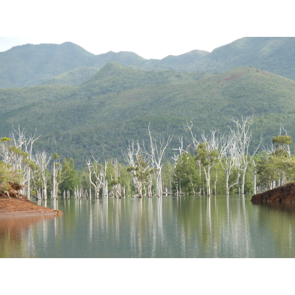 Picture New Caledonia Parc de la Riviere Bleue 2010-05 16 - Around Parc de la Riviere Bleue