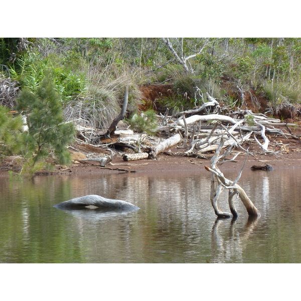 Picture New Caledonia Parc de la Riviere Bleue 2010-05 19 - Discovery Parc de la Riviere Bleue