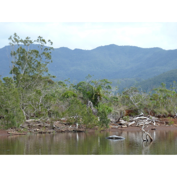 Picture New Caledonia Parc de la Riviere Bleue 2010-05 12 - Journey Parc de la Riviere Bleue