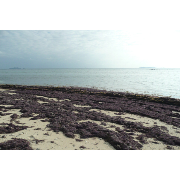 Picture Fiji Beachcomber Island 2010-05 13 - Tour Beachcomber Island