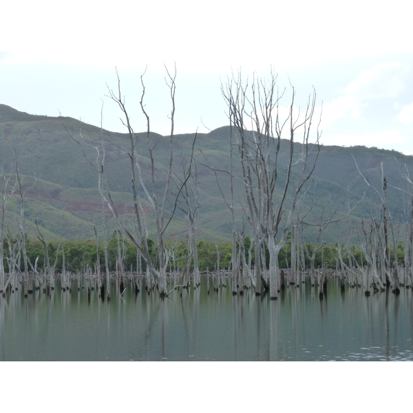 Picture New Caledonia Parc de la Riviere Bleue 2010-05 0 - Tours Parc de la Riviere Bleue