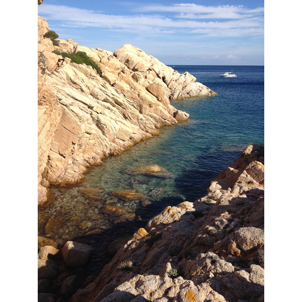 Picture Italy Cala Coticcio 2012-09 146 - Around Cala Coticcio