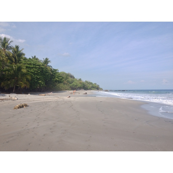 Picture Costa Rica Montezuma 2015-03 278 - Discovery Montezuma