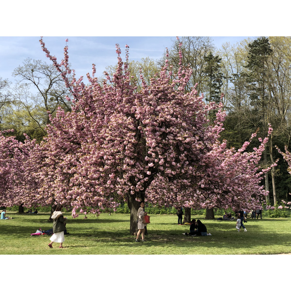 Picture France Parc de Sceaux 2019-04 25 - Journey Parc de Sceaux