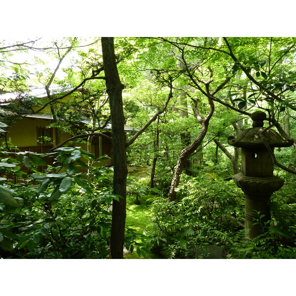 Picture Japan Tokyo Nezu Museum 2010-06 64 - Journey Nezu Museum