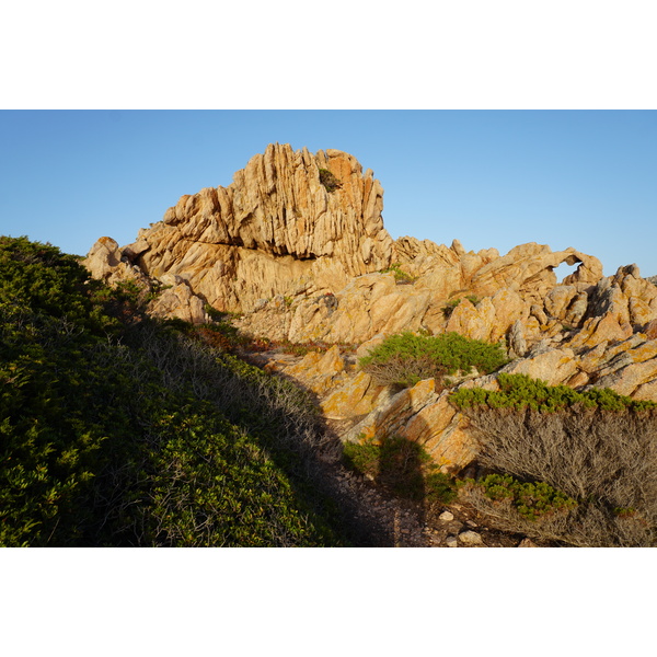 Picture France Corsica Tonnara Beach 2017-07 31 - Tour Tonnara Beach