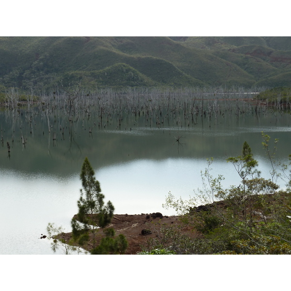 Picture New Caledonia Parc de la Riviere Bleue 2010-05 24 - Tour Parc de la Riviere Bleue