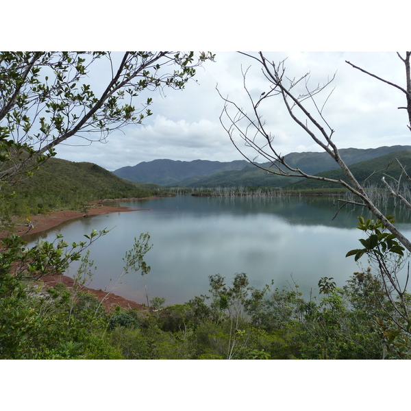 Picture New Caledonia Parc de la Riviere Bleue 2010-05 61 - Center Parc de la Riviere Bleue