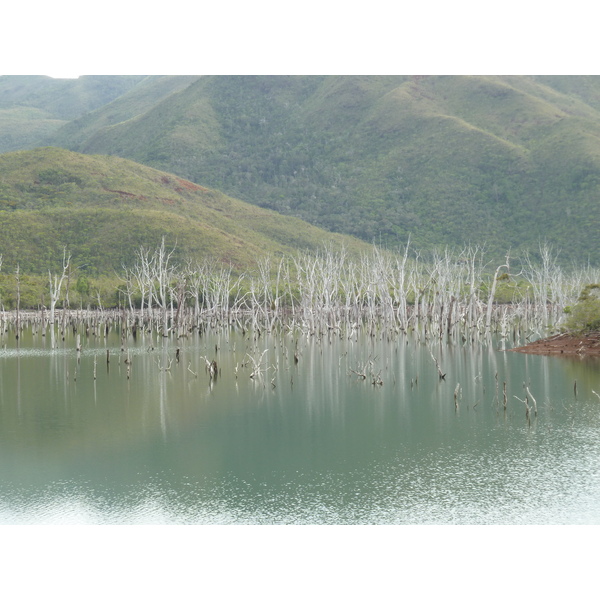 Picture New Caledonia Parc de la Riviere Bleue 2010-05 74 - Recreation Parc de la Riviere Bleue