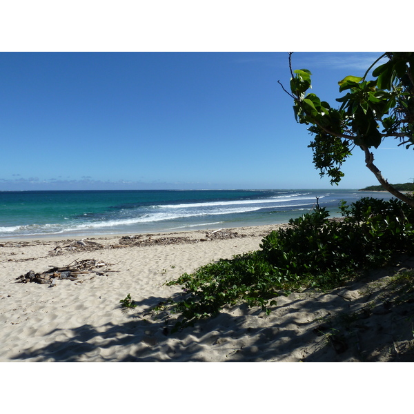 Picture Fiji Natadola beach 2010-05 52 - Center Natadola beach