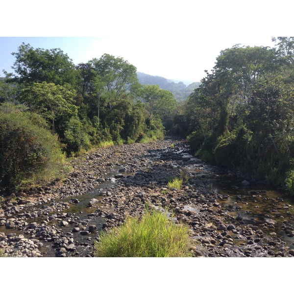 Picture Costa Rica Uvita 2015-03 90 - Discovery Uvita