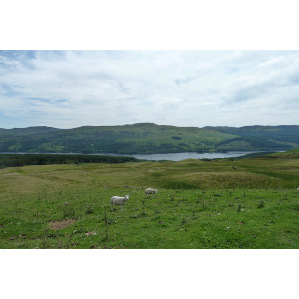 Picture United Kingdom The Trossachs 2011-07 76 - Tour The Trossachs