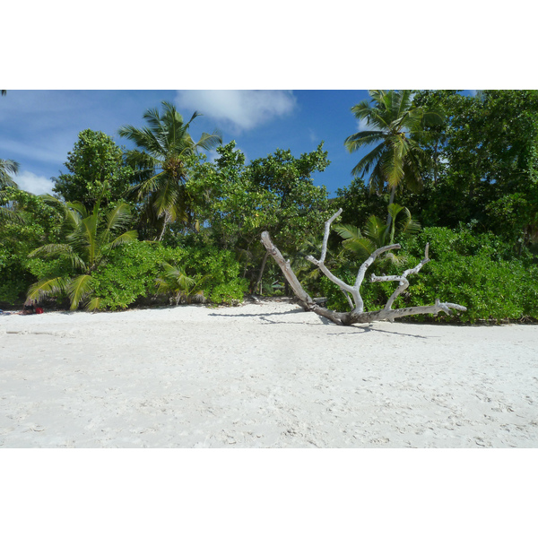 Picture Seychelles Anse Lazio 2011-10 171 - Tours Anse Lazio