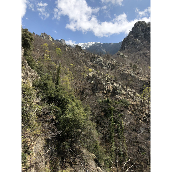 Picture France Abbaye Saint Martin du Canigou 2018-04 116 - Discovery Abbaye Saint Martin du Canigou