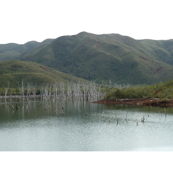 Picture New Caledonia Parc de la Riviere Bleue 2010-05 91 - History Parc de la Riviere Bleue