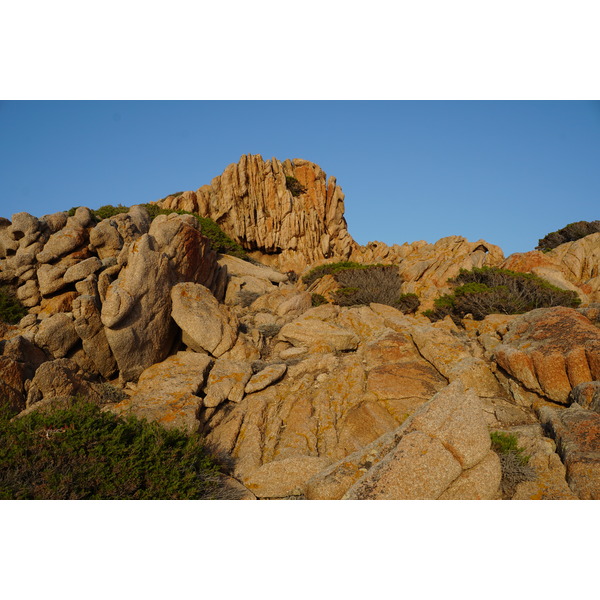 Picture France Corsica Tonnara Beach 2017-07 14 - Center Tonnara Beach