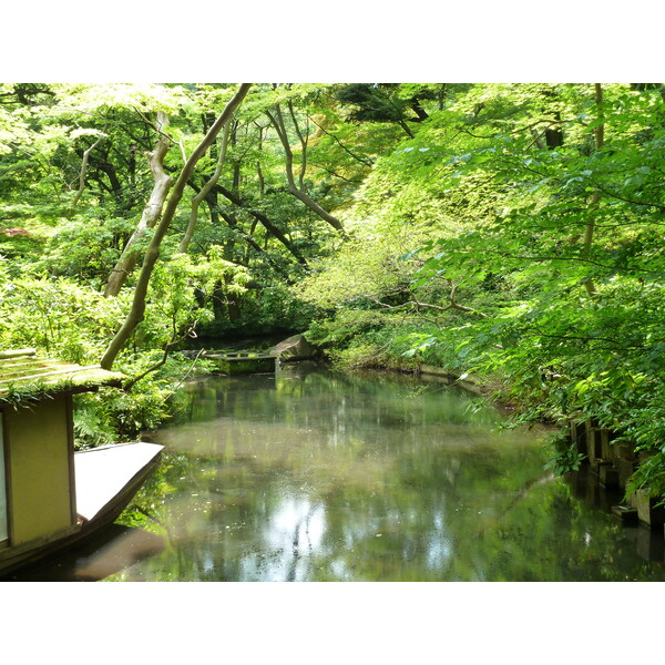 Picture Japan Tokyo Nezu Museum 2010-06 85 - Recreation Nezu Museum