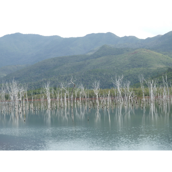 Picture New Caledonia Parc de la Riviere Bleue 2010-05 86 - Tours Parc de la Riviere Bleue