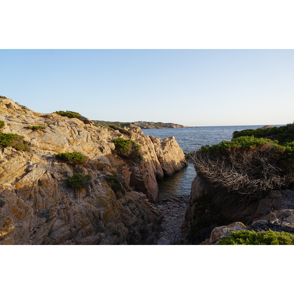 Picture France Corsica Tonnara Beach 2017-07 13 - Tour Tonnara Beach