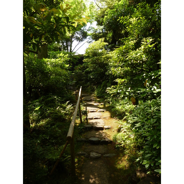 Picture Japan Tokyo Nezu Museum 2010-06 65 - Discovery Nezu Museum