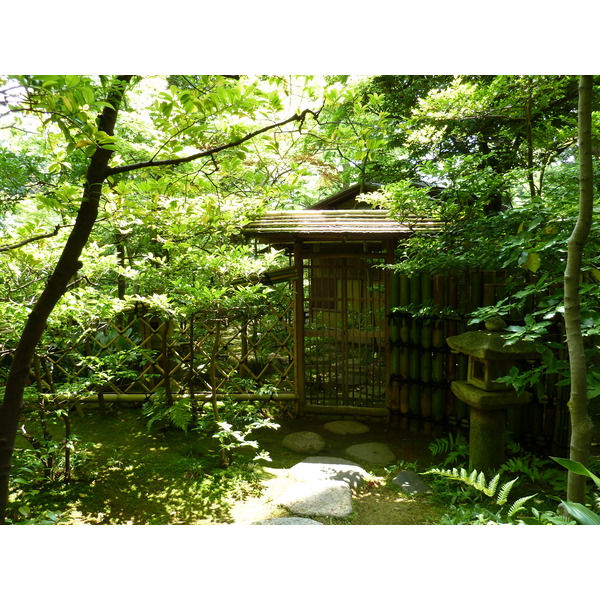 Picture Japan Tokyo Nezu Museum 2010-06 86 - Around Nezu Museum