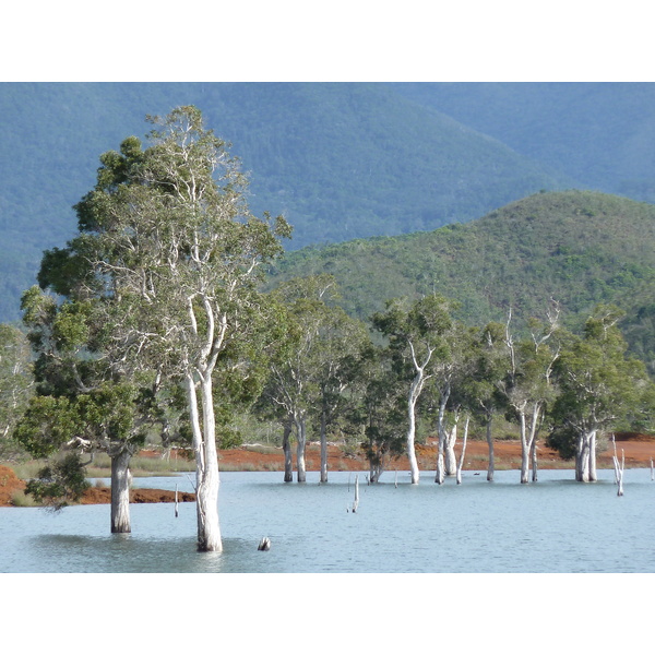 Picture New Caledonia Parc de la Riviere Bleue 2010-05 68 - Tours Parc de la Riviere Bleue