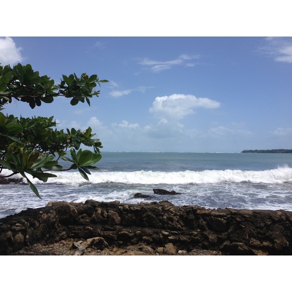 Picture Costa Rica Cahuita 2015-03 196 - Tours Cahuita