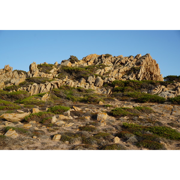 Picture France Corsica Tonnara Beach 2017-07 4 - Around Tonnara Beach