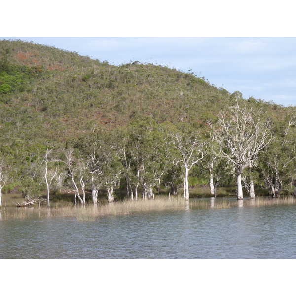 Picture New Caledonia Parc de la Riviere Bleue 2010-05 92 - Center Parc de la Riviere Bleue