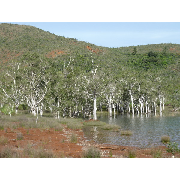 Picture New Caledonia Parc de la Riviere Bleue 2010-05 85 - Around Parc de la Riviere Bleue