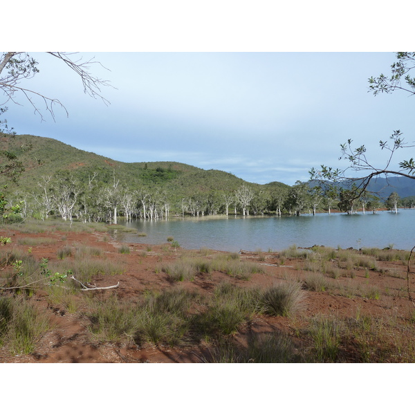 Picture New Caledonia Parc de la Riviere Bleue 2010-05 122 - Around Parc de la Riviere Bleue