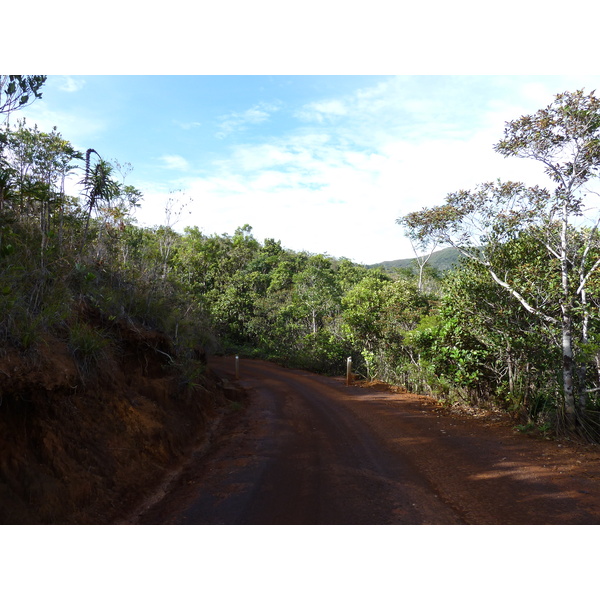 Picture New Caledonia Parc de la Riviere Bleue 2010-05 139 - Journey Parc de la Riviere Bleue