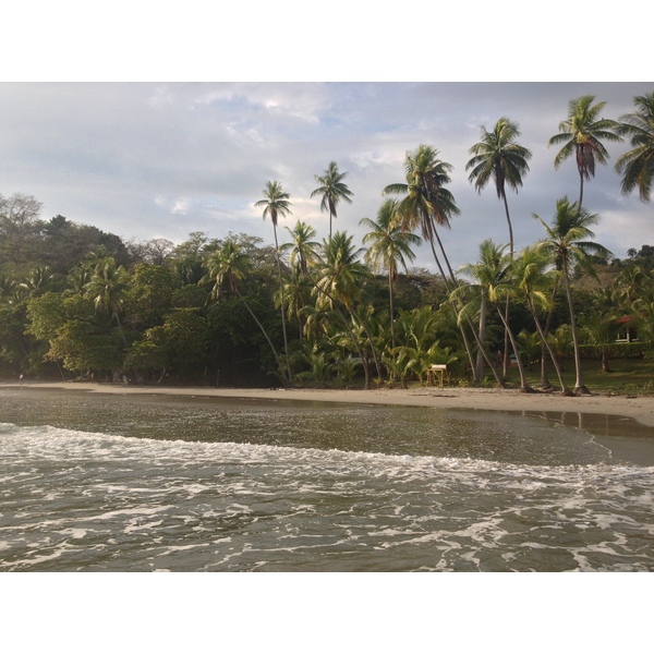 Picture Costa Rica Manuel Antonio 2015-03 263 - Tours Manuel Antonio