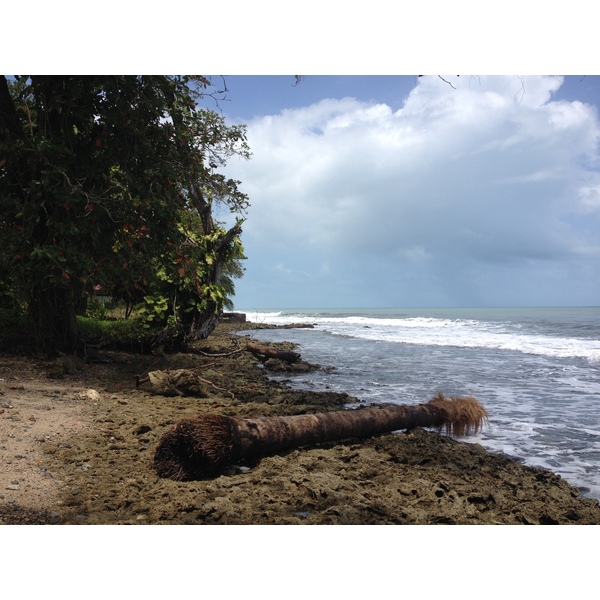 Picture Costa Rica Cahuita 2015-03 132 - Center Cahuita