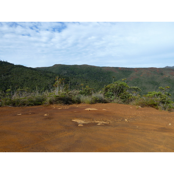 Picture New Caledonia Parc de la Riviere Bleue 2010-05 121 - Recreation Parc de la Riviere Bleue