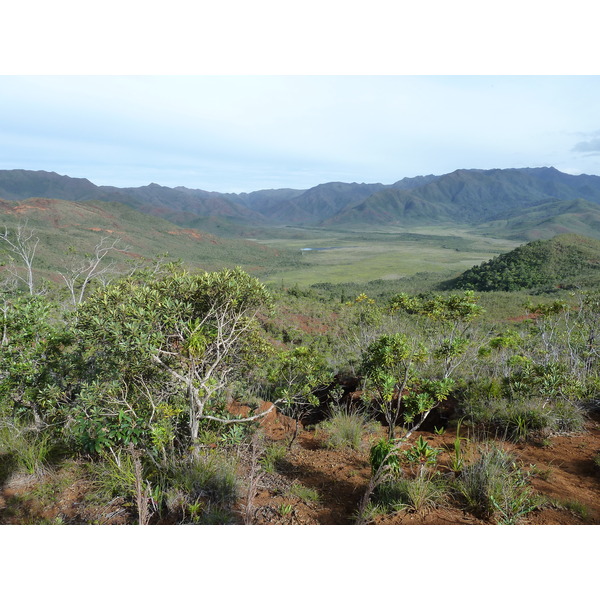 Picture New Caledonia Parc de la Riviere Bleue 2010-05 131 - Tours Parc de la Riviere Bleue