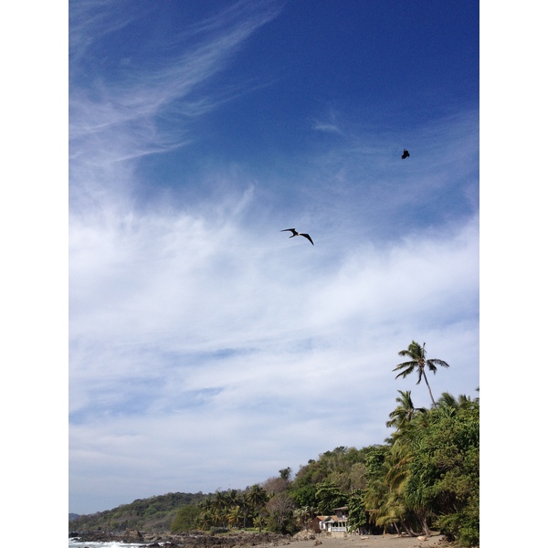 Picture Costa Rica Montezuma 2015-03 534 - Discovery Montezuma