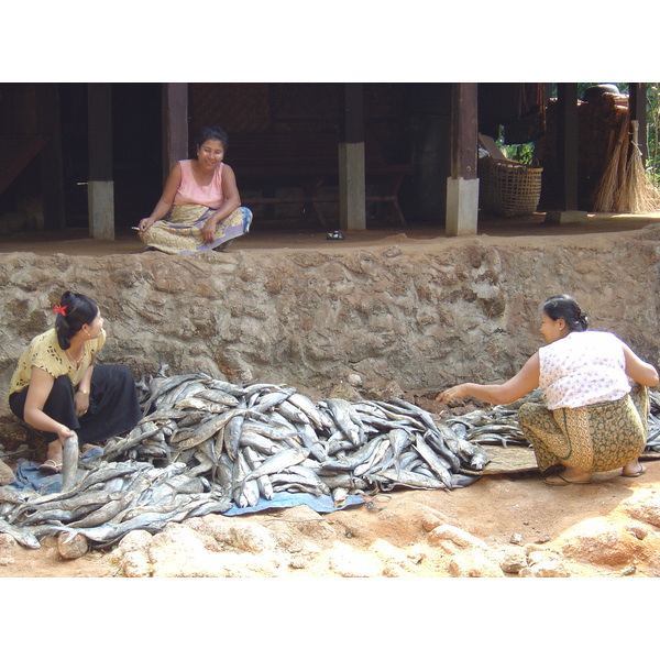 Picture Myanmar Maungmagan North 2005-01 43 - Journey Maungmagan North