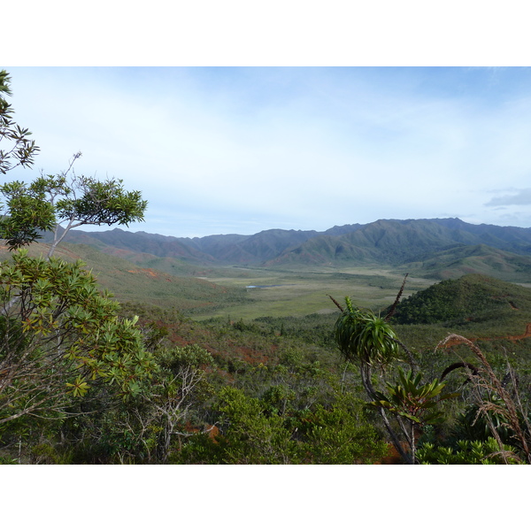 Picture New Caledonia Parc de la Riviere Bleue 2010-05 93 - Center Parc de la Riviere Bleue