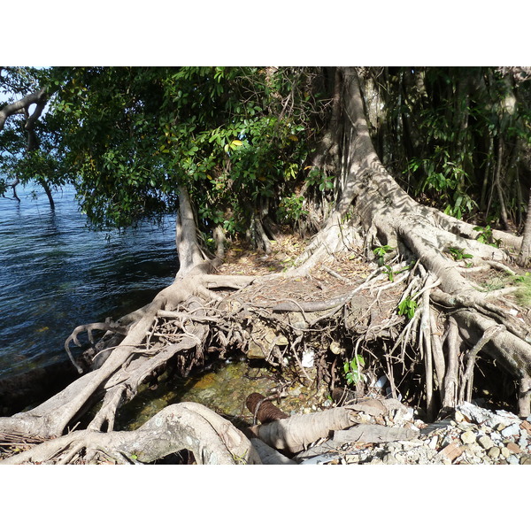 Picture Thailand Ko Chang 2011-12 0 - History Ko Chang