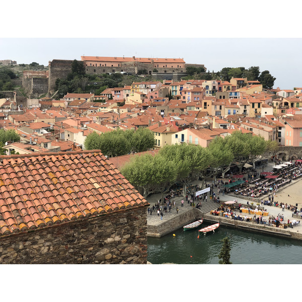 Picture France Collioure 2018-04 272 - Journey Collioure