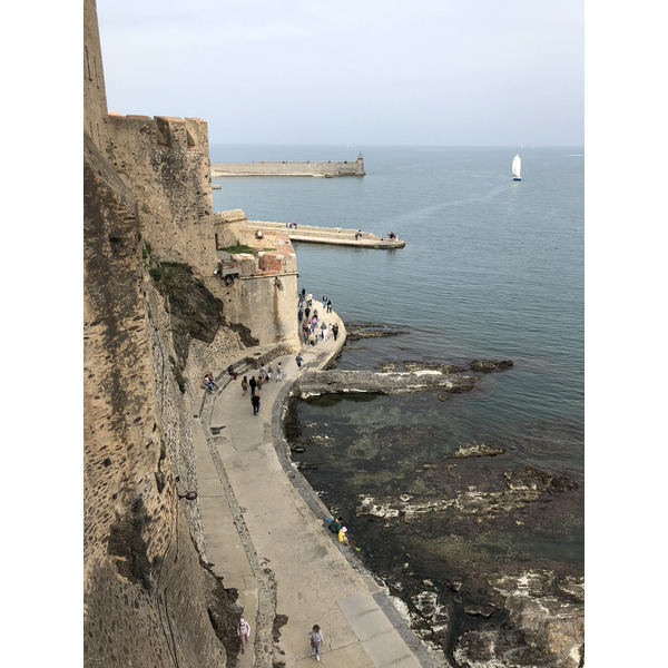 Picture France Collioure 2018-04 254 - Tour Collioure