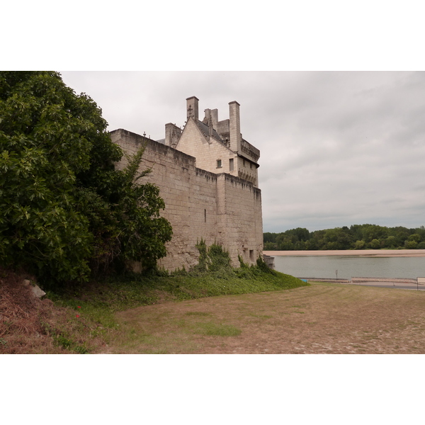 Picture France Montsoreau Castle 2011-05 161 - Tours Montsoreau Castle