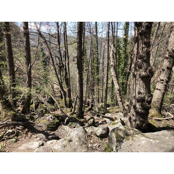 Picture France Abbaye Saint Martin du Canigou 2018-04 84 - Discovery Abbaye Saint Martin du Canigou