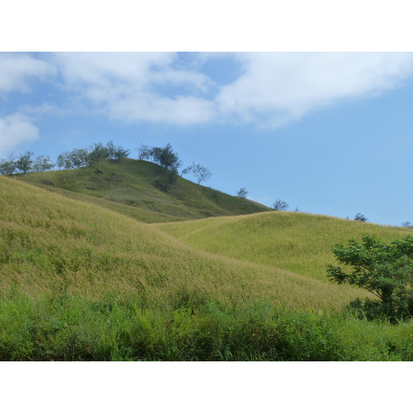 Picture Fiji Nadi to Natadola road 2010-05 90 - Discovery Nadi to Natadola road