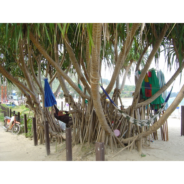 Picture Thailand Phuket Kamala Beach 2005-12 65 - Around Kamala Beach