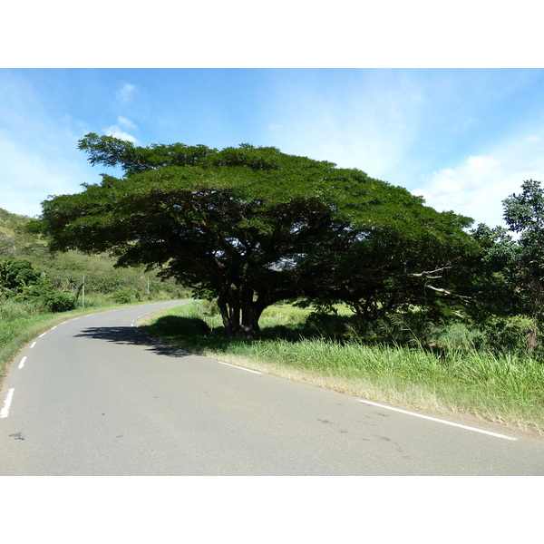 Picture New Caledonia Tontouta to Thio road 2010-05 25 - Center Tontouta to Thio road