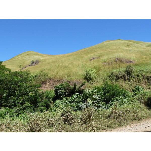 Picture Fiji Sigatoka river 2010-05 37 - Journey Sigatoka river